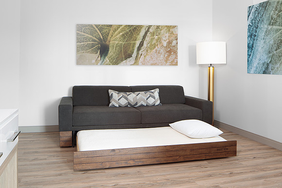 SpringHill Suites by Marriott - Sofa Bed